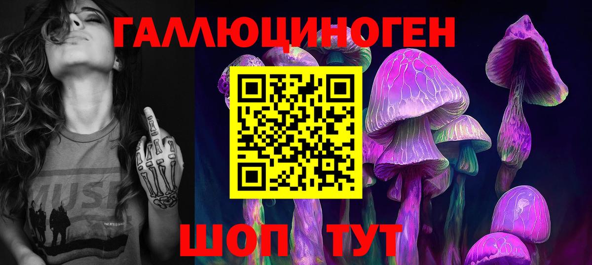 Саяногорск  Галлюциногенные грибы Psilocybine cubensis  Вход с VPN 